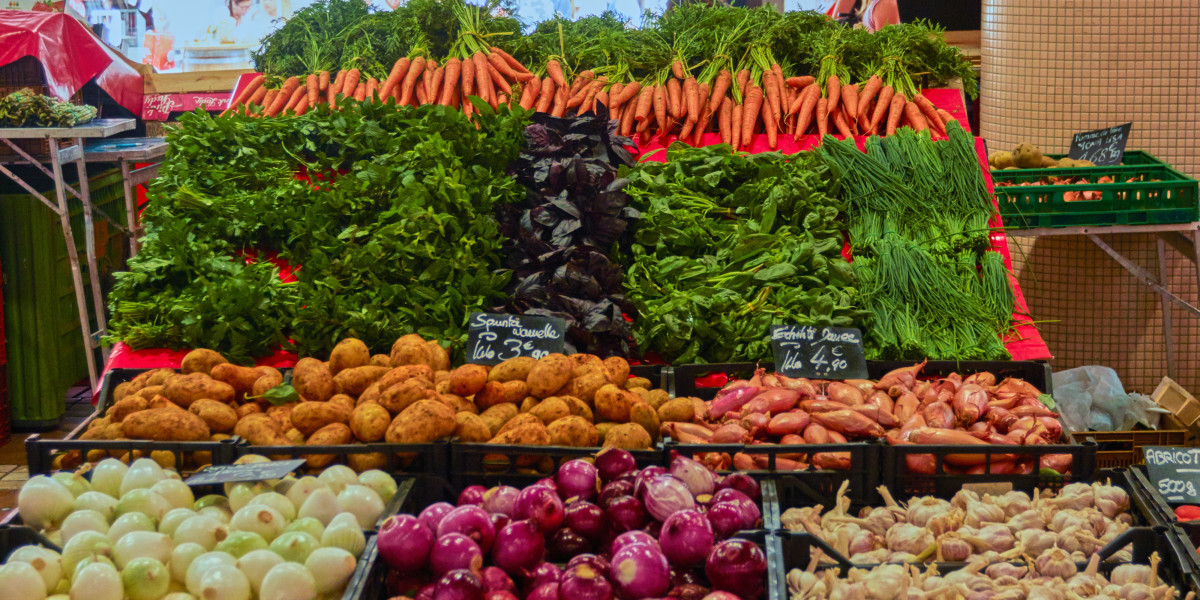 What Makes the Organoids Market a Game-Changer in Biotech?